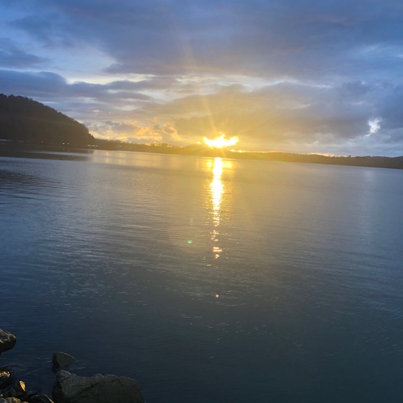 Meet your Posher, Abby - Picture 1 of 1